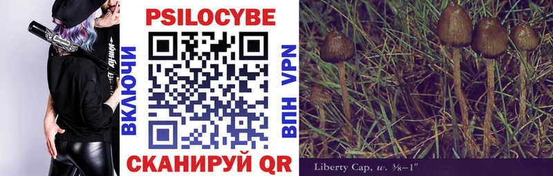 Псилоцибиновые грибы Psilocybine cubensis  Тбилисская 