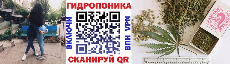 Конопля гибрид  как найти наркотики  Тбилисская 